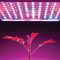 White Paper Gratuito: Illuminazione per l’orticultura inseminata dai LED